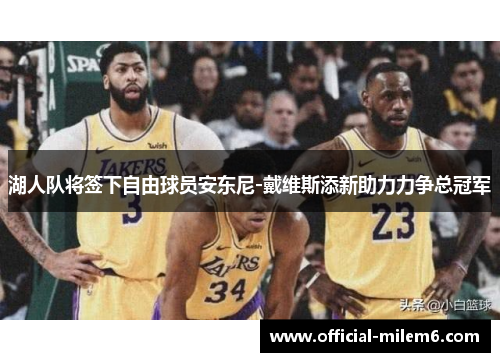 湖人队将签下自由球员安东尼-戴维斯添新助力力争总冠军
