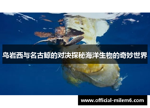 鸟岩西与名古鲸的对决探秘海洋生物的奇妙世界